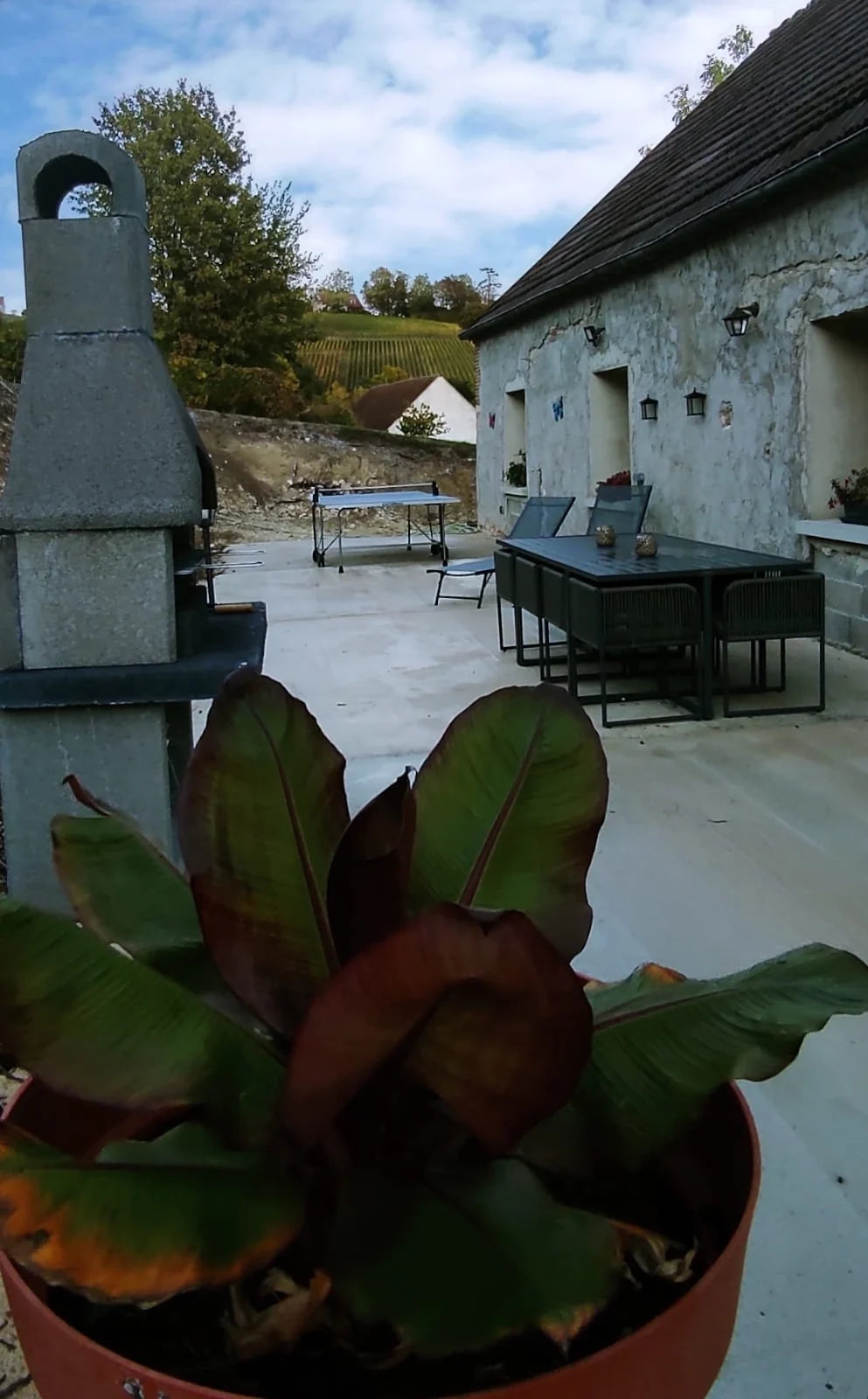 Terrasse avec barbecue, ping-pong et salon de jardin